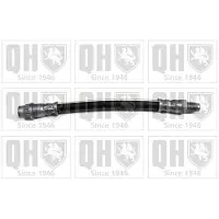 Quinton Hazell BFH4718 Remslang