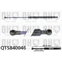 Quinton Hazell QTS840046 Gasveer achterklep