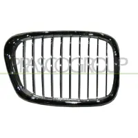 PRASCO BM0452033 Radiator grill