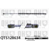 Quinton Hazell QTS128634 Gasveer achterklep