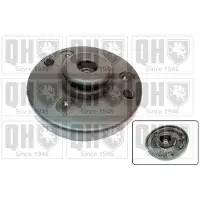 Quinton Hazell EMR2521 Veerpootlager