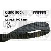 Quinton Hazell QBR61005K Multiriem