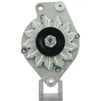BV PSH 305.024.065.010 Dynamo / Alternator
