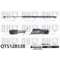 Quinton Hazell QTS128538 Gasveer achterklep