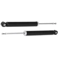 RIDEX 854S18595 Schokdemper