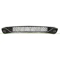 PRASCO LA0062120 Ventilatiegrille, bumper