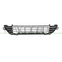 PRASCO PG3242131 Ventilatiegrille, bumper