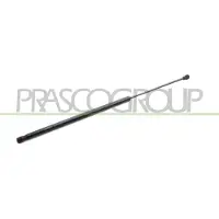 PRASCO FT9079055 Gasveer achterklep