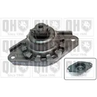 Quinton Hazell EMR4953 Veerpootlager