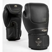 Venum Impact Evo Bokshandschoenen Zwart - 16 OZ