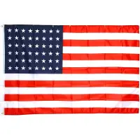 Fostex vlag USA 48 stars