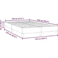 vidaXL Boxspring zonder matras fluweel zwart 120x220 cm