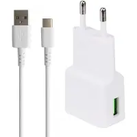 Phreeze Usb Stekker + usb C Kabel - 1 Meter - Oplader voor Galaxy S8 S9 S10 S20 S21 S22 S23 S24 S25 - Usb-C oplader