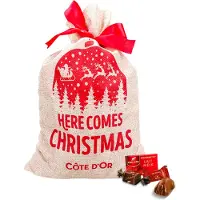 Côte d'Or Best of chocolademix kerstzak