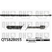 Quinton Hazell QTS828055 Gasveer achterklep