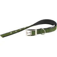 Ferplast Daytona Deluxe 15 Mm 35 Cm Dog Collar Groen