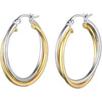 Elli Oorbellen goud / zilver