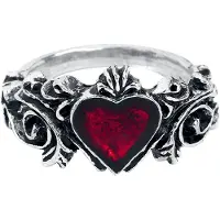 Alchemy Gothic - Gothic Ring - Betrothal - voor Vrouwen - zilverkleurig - Maat M