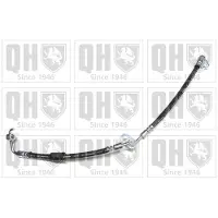 Quinton Hazell BFH6060 Remslang