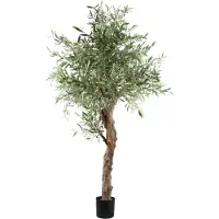 Ptmd Tree Green Olive Tree In Pot 210cm
