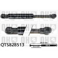 Quinton Hazell QTS828513 Gasveer achterklep