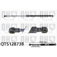 Quinton Hazell QTS128738 Gasveer motorkap
