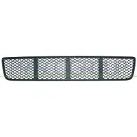 PRASCO VG0202120 Ventilatiegrille, bumper