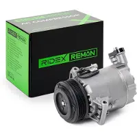 RIDEX 447K0107R Aircopomp