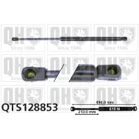 Quinton Hazell QTS128853 Gasveer achterklep