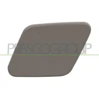 BLIC BM1211238 Plaat, bumper