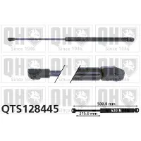 Quinton Hazell QTS128445 Gasveer achterklep