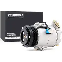 RIDEX 447K0070 Aircopomp