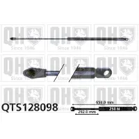 Quinton Hazell QTS128098 Gasveer achterklep