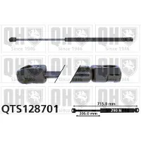 Quinton Hazell QTS128701 Gasveer motorkap