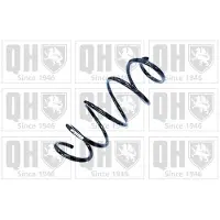 Quinton Hazell QCS8910 Chassisveer