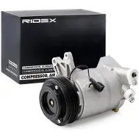 RIDEX 447K0291 Aircopomp