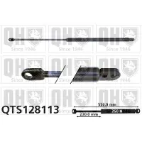 Quinton Hazell QTS128113 Gasveer achterklep