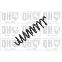 Quinton Hazell QCS7919 Chassisveer