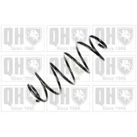 Quinton Hazell QCS6326 Chassisveer