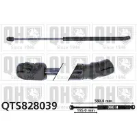 Quinton Hazell QTS828039 Gasveer achterklep