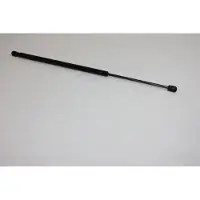 AUTOMEGA 100099910 Gasveer achterklep