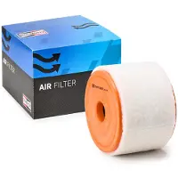 Champion CAF101081R Luchtfilter