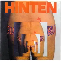 Import Hinten