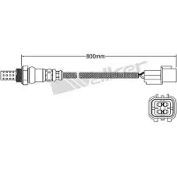 VEGAZ ULS-733 Lambdasonde