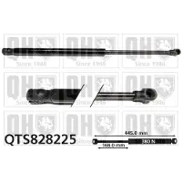 Quinton Hazell QTS828225 Gasveer achterklep