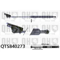 Quinton Hazell QTS840273 Gasveer achterklep
