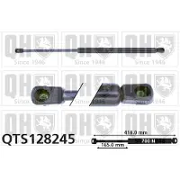 Quinton Hazell QTS128245 Gasveer achterklep