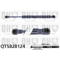 Quinton Hazell QTS828124 Gasveer achterklep