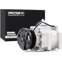 RIDEX 447K0085 Aircopomp