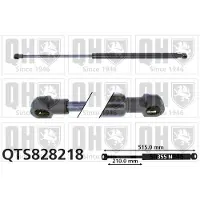 Quinton Hazell QTS828218 Gasveer achterklep